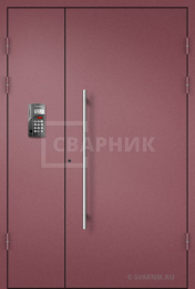 Дверь для установки в подъезд порошковая ПД-12