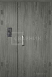 Подъездная дверь с домофоном, порошковый окрас ПД-155